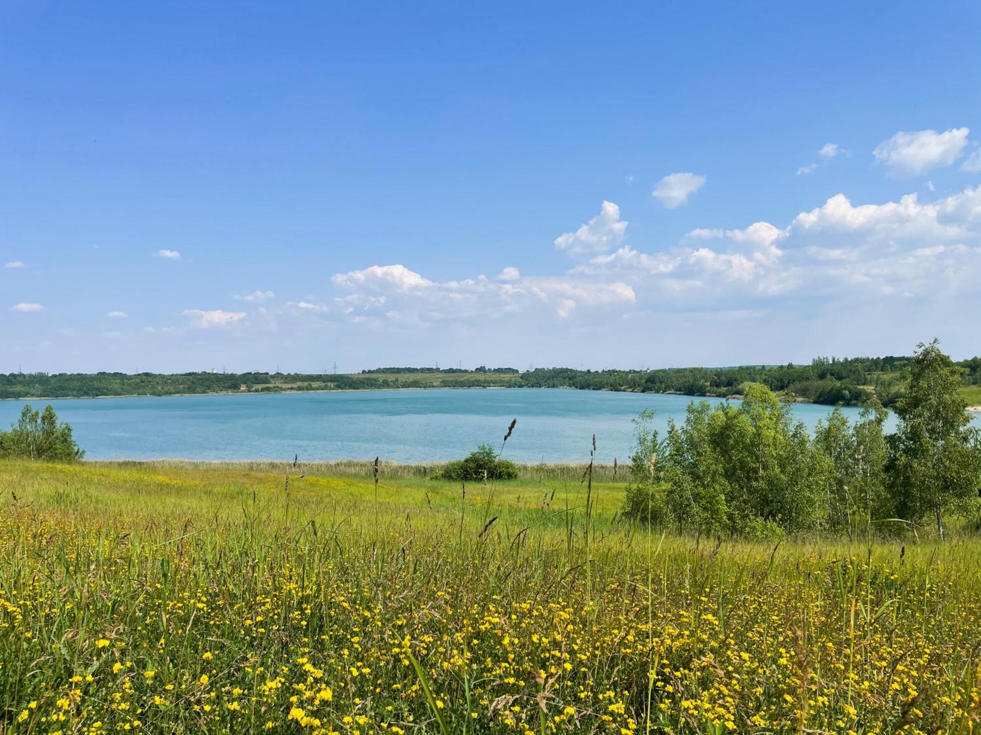 Haus Im Schilf 2 - Ferienwohnungen Am Hainer See Bei Leipzig Neukieritzsch 외부 사진